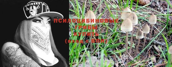 прущая мука Козловка