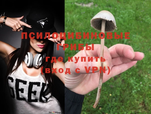 прущая мука Козловка