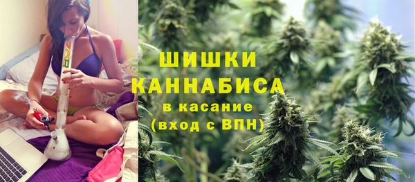 винт Костерёво