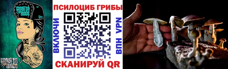 купить закладку  Куса  Псилоцибиновые грибы мицелий 